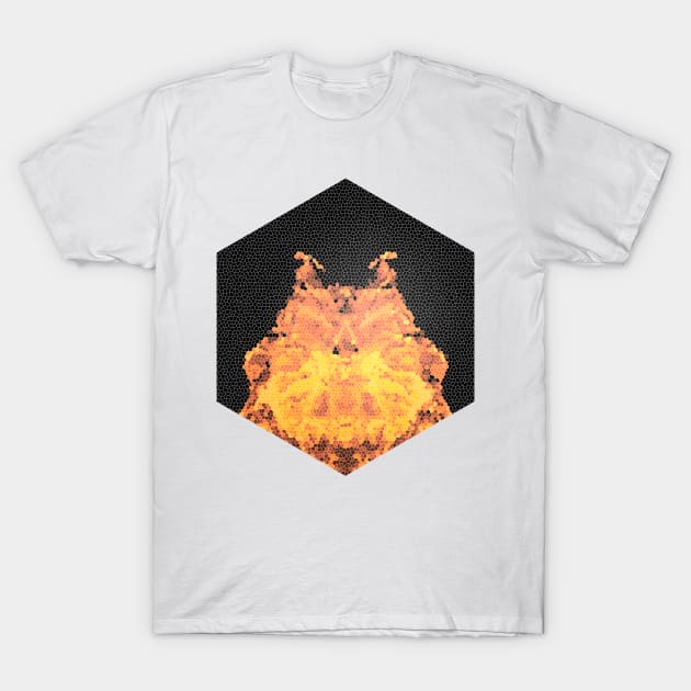 Fire hexagon abstract - Fire sign - The Five Elements Abstract  Symbol T-Shirt by thewishdesigns